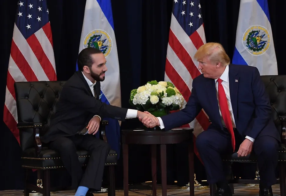 Найиб Букеле и Дональд Трамп. Обложка © Х / nayibbukele