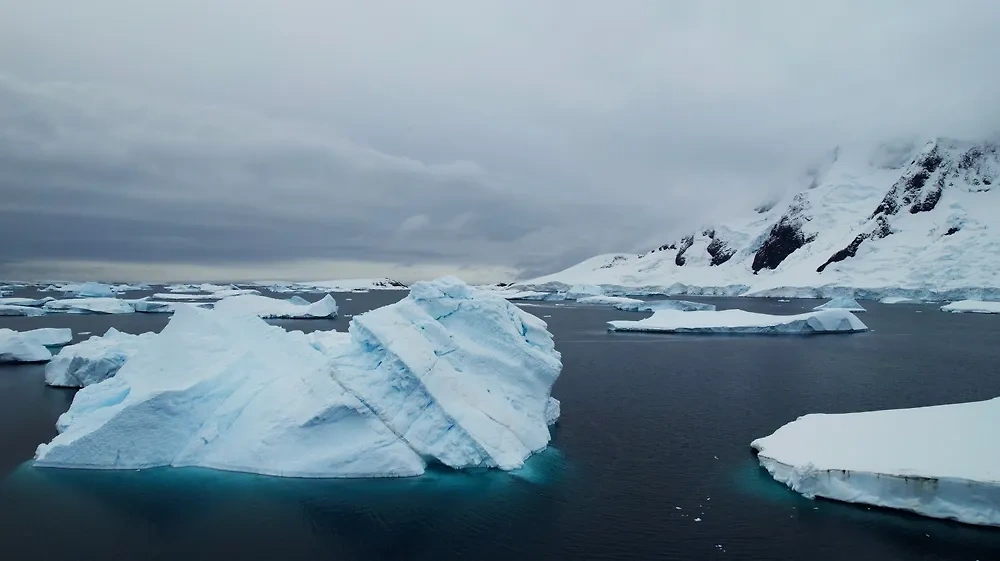 Арктические льды. Фото © Shutterstock / FOTODOM / Nature Wildlife Videos