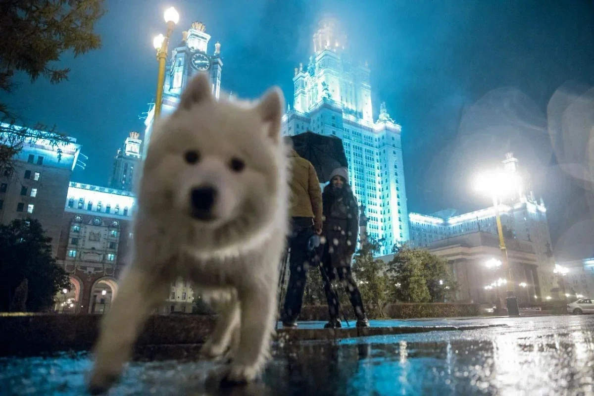 Москву накроет циклон с мокрым снегом, дождём и заморозками. Обложка © Shutterstock / FOTODOM / Natalia Garidueva