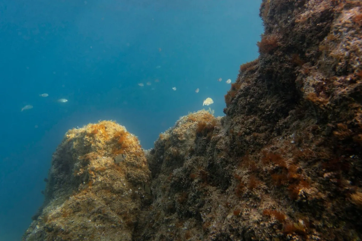 За последние пятьдесят лет уровень Мёртвого моря снижался примерно на один метр ежегодно. Обложка © freepik.com / freepik 