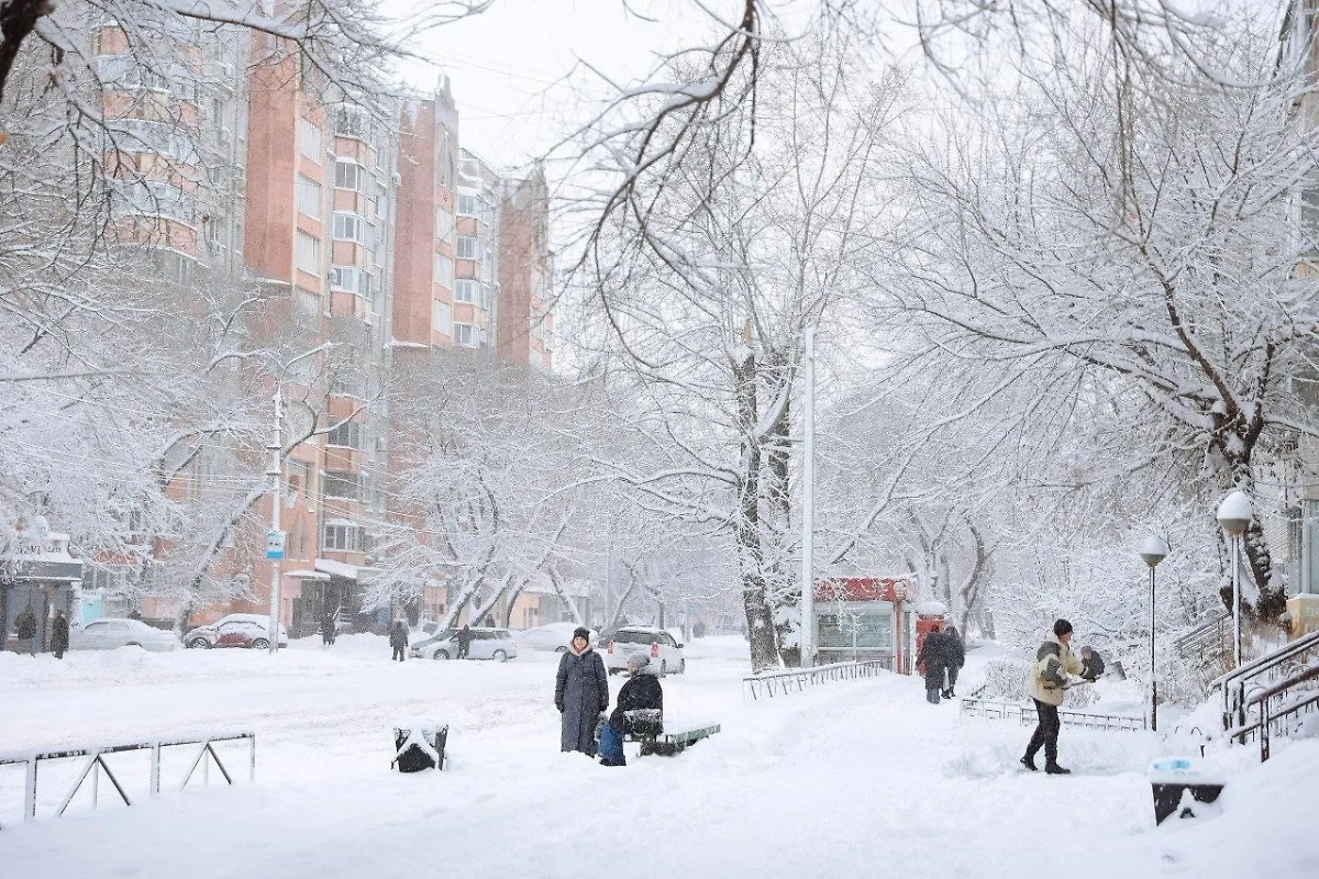 Благовещенск третий день засыпает снегом. Обложка © VK / Василий Орлов