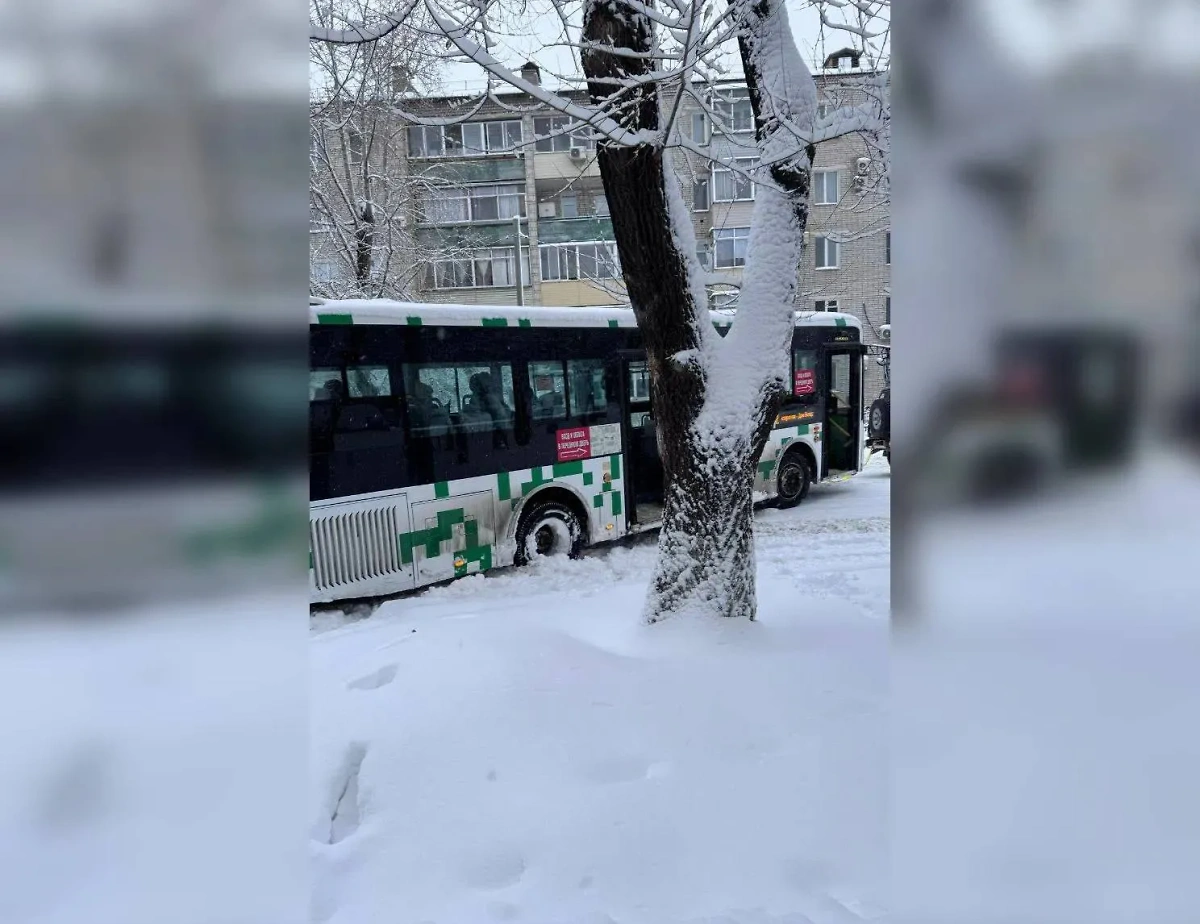 Застрявший в сугробах Благовещенска автобус. Фото © Telegram / Благовещенск №1