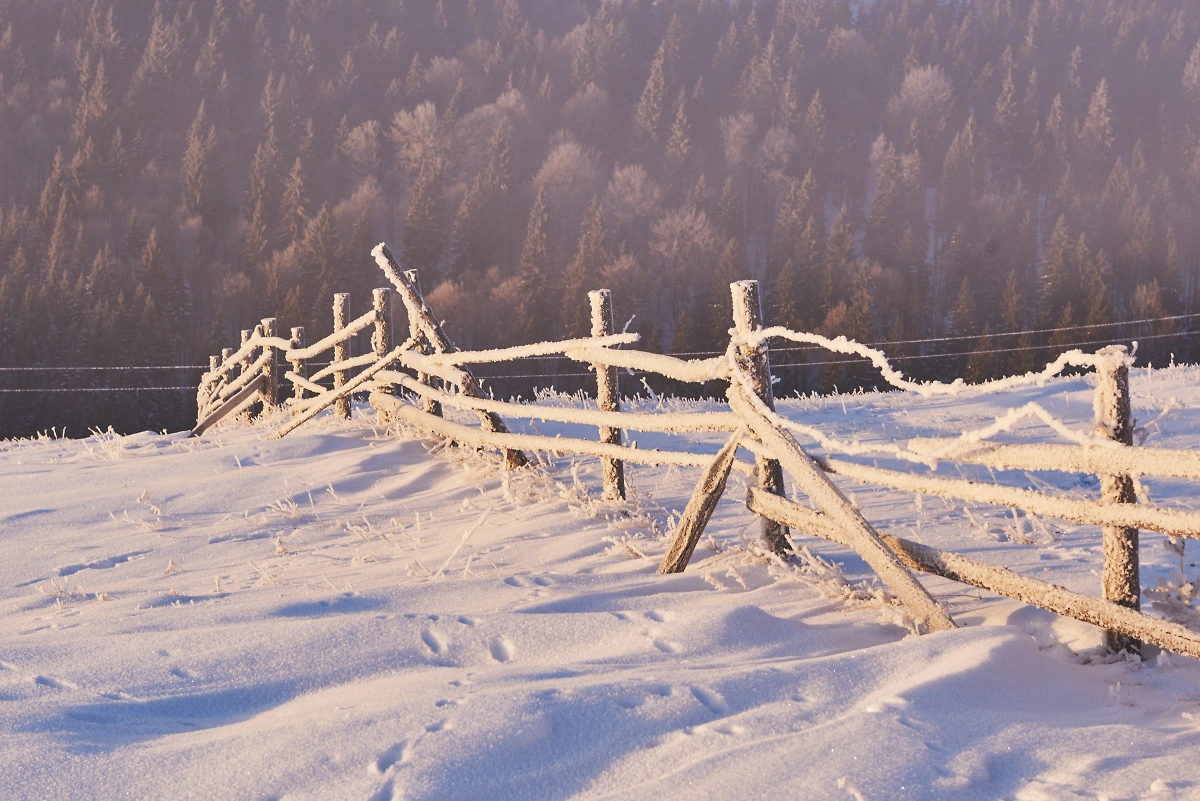 Коммунальная катастрофа в Тверской области. Обложка © freepik.com / standret