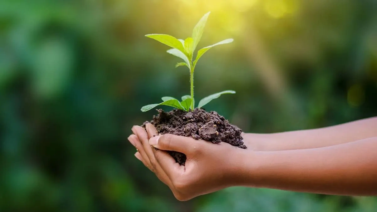 Всемирный день почв (World Soil Day) отмечается ежегодно 5 декабря. Фото © Shutterstock / FOTODOM / sarayut_sy