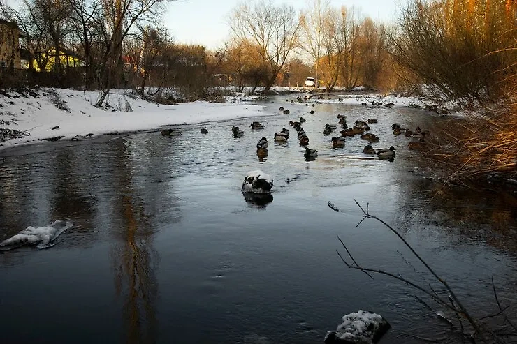 Спасатели усилили контроль безопасности на реках и водоёмах в Москве. Обложка © freepik.com / teksomolika