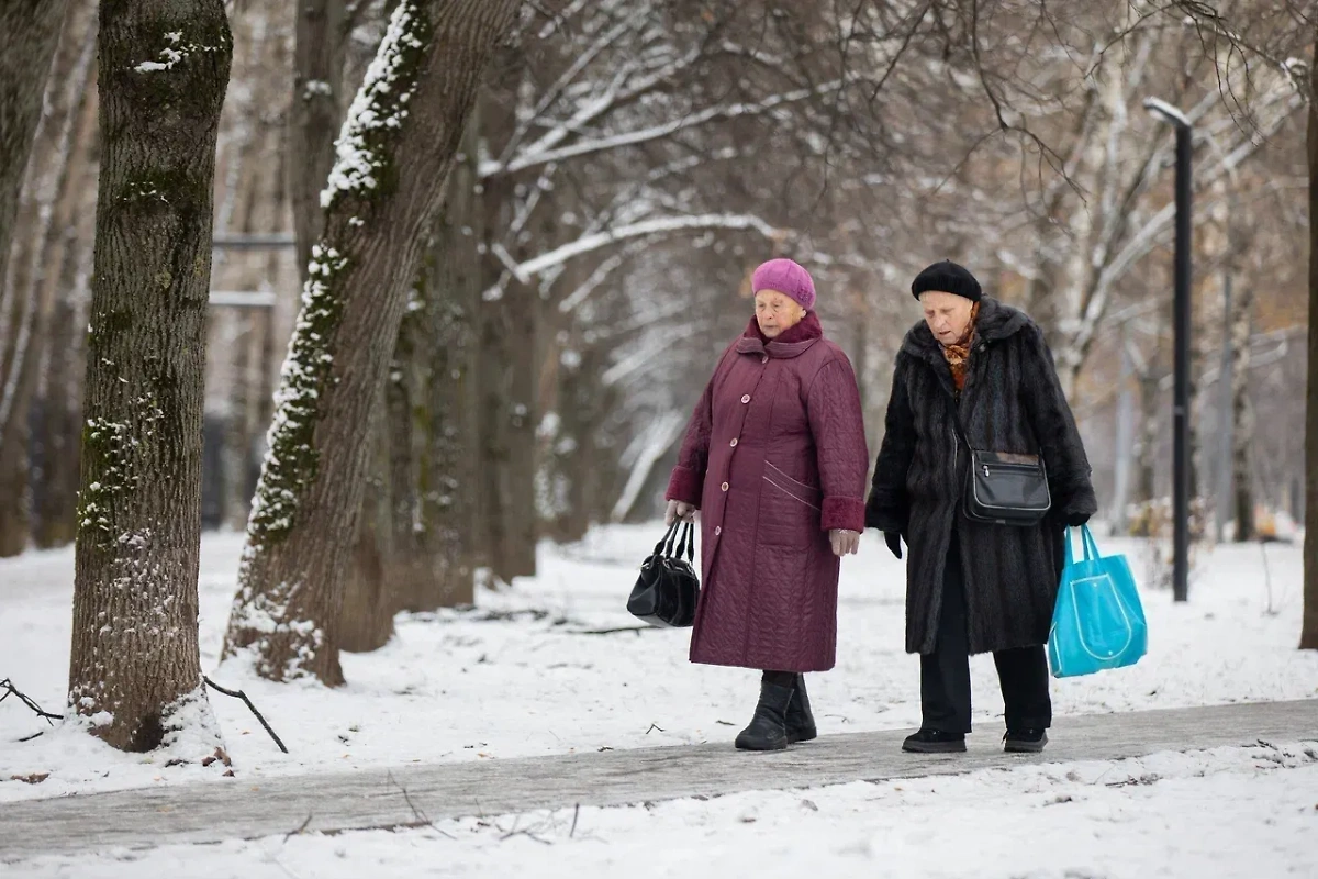 Женщины идут по заснеженной аллее в Москве. Фото © Life.ru 