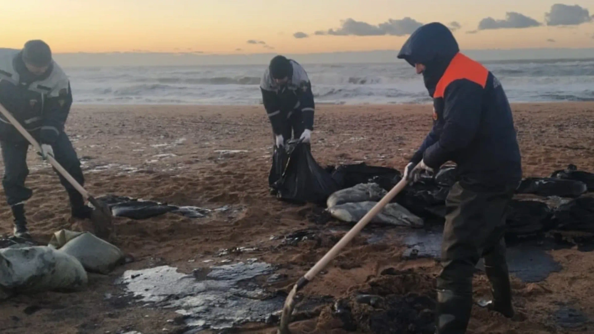 Уборка песка после крушения танкеров в Чёрном море. Обложка © Telegram /  Кубань-СПАС