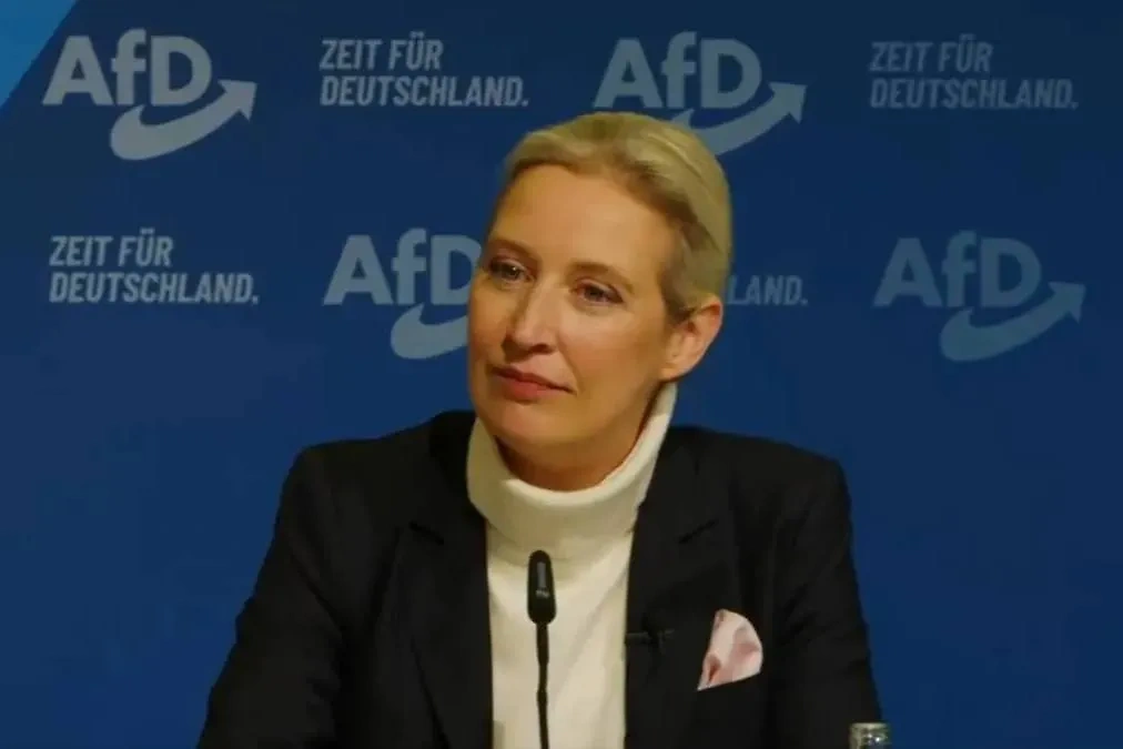 Алис Вайдель Обложка © X / Alice Weidel