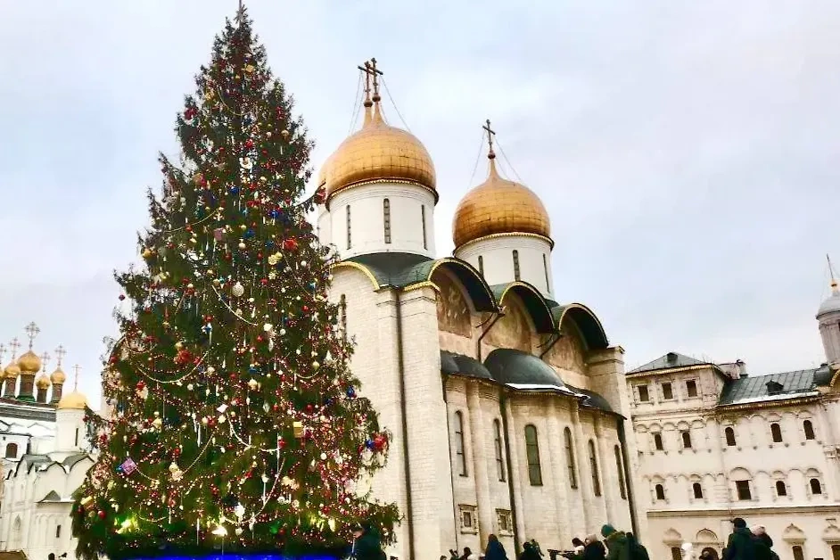 На Соборной площади в Кремле нарядили главную ёлку России. Обложка © Life.ru