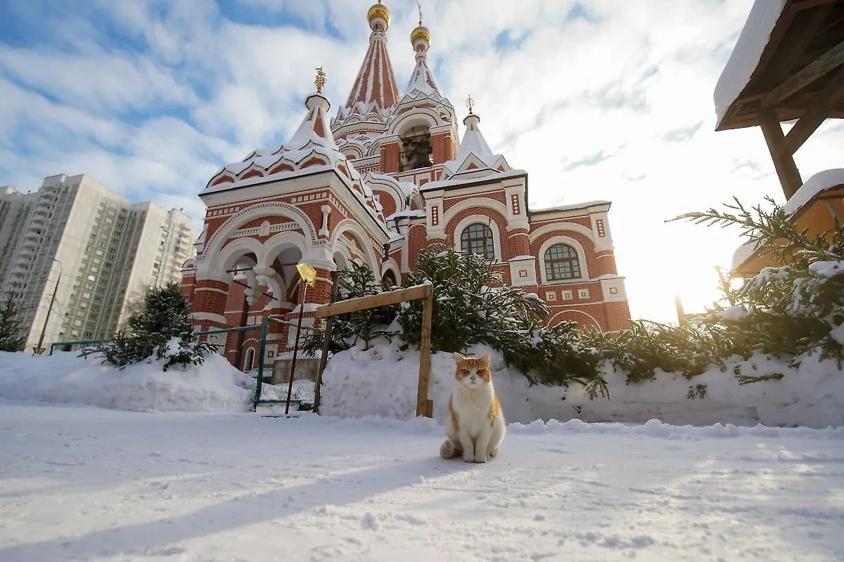 Москва. Фото © Агентство "Москва" / Александр Авилов