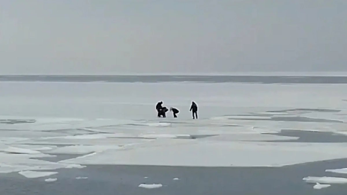 Группу школьников на льдине уносит от берега во Владивостоке. Обложка © t.me / Город В | Владивосток