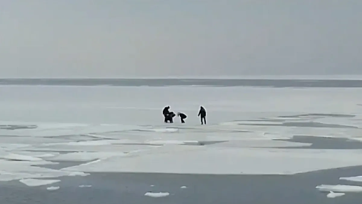Группа школьников на льдине во Владивостоке. Обложка © t.me / Город В | Владивосток