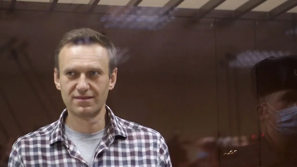Алексей Навальный*. Фото © ТАСС / Пресс-служба Бабушкинского суда