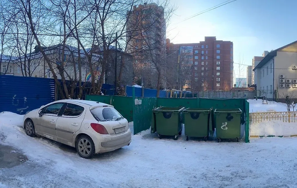 В одном из этих мусорных баков в Новосибирске нашли выброшенного девушкой младенца. Обложка © Telegram / СУ СК РФ по Новосибирской области