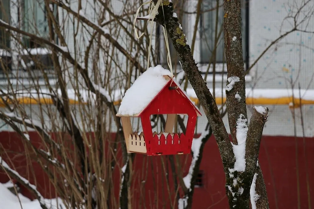 3 февраля отмечается День кормления птиц. Фото © Агентство "Москва"