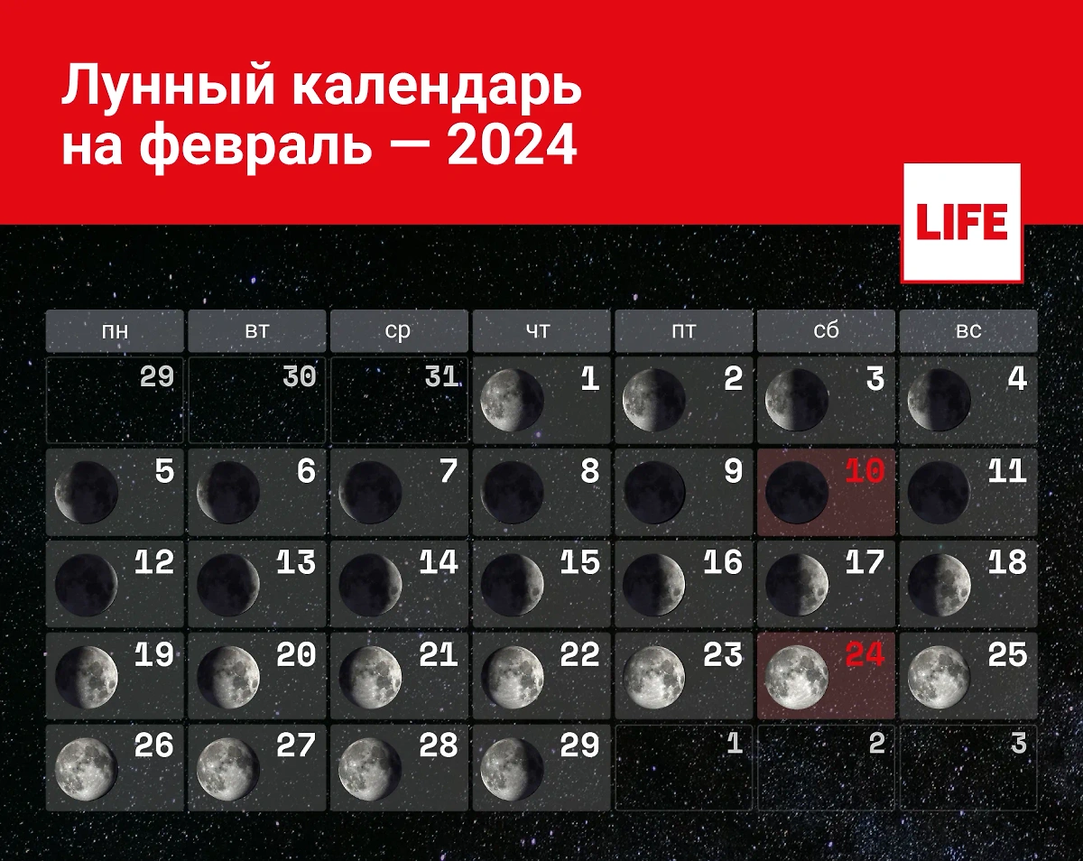 Календарь фаз Луны в феврале 2024 года. Инфографика © LIFE 