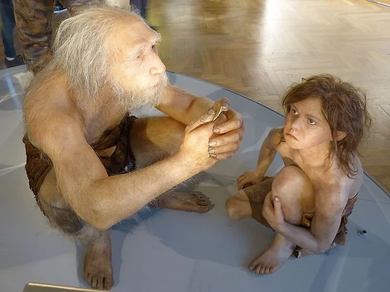 4 февраля отмечается День неандертальца. Фото © Wikipedia / Wolfgang Sauber