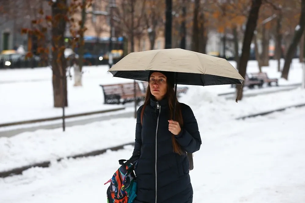 Москвичей ждёт ледяной дождь. Обложка © Агентство городских новостей "Москва" / Сергей Ведяшкин