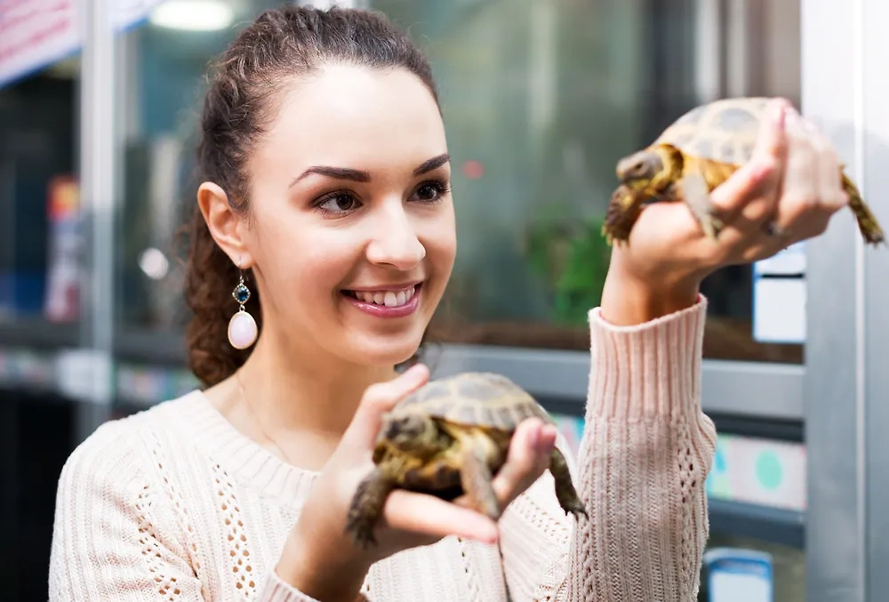 Черепахи и змеи: выбор домашних питомцев и взаимосвязь с характером человека. Фото © Shutterstock