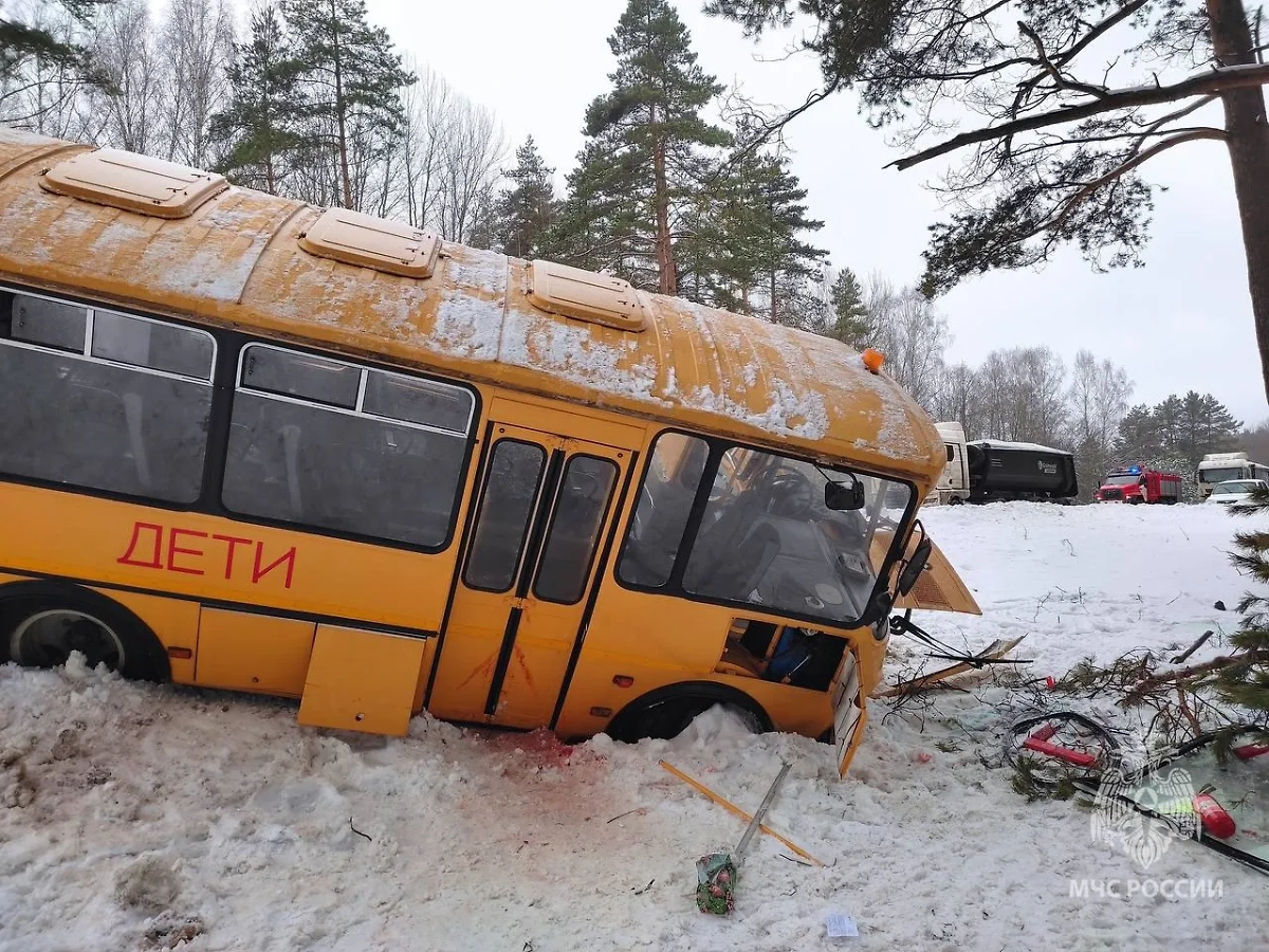 Место ДТП со школьным автобусом в Псковской области. Фото © МЧС России
