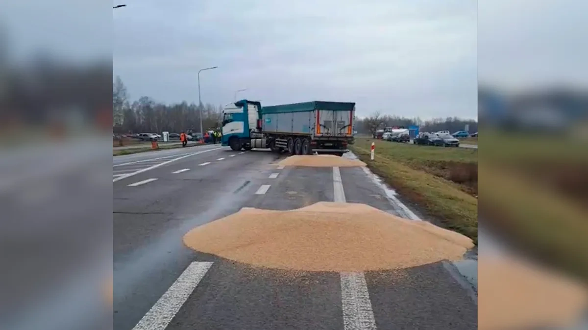 Польские фермеры высыпают украинское зерно из грузовиков на границе. Фото © Телеграм-канал Андрій Садовий