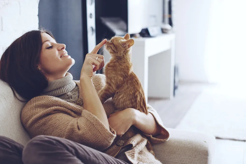 Что можно сказать про характер людей, кто заводит кошек. Фото © Shutterstock