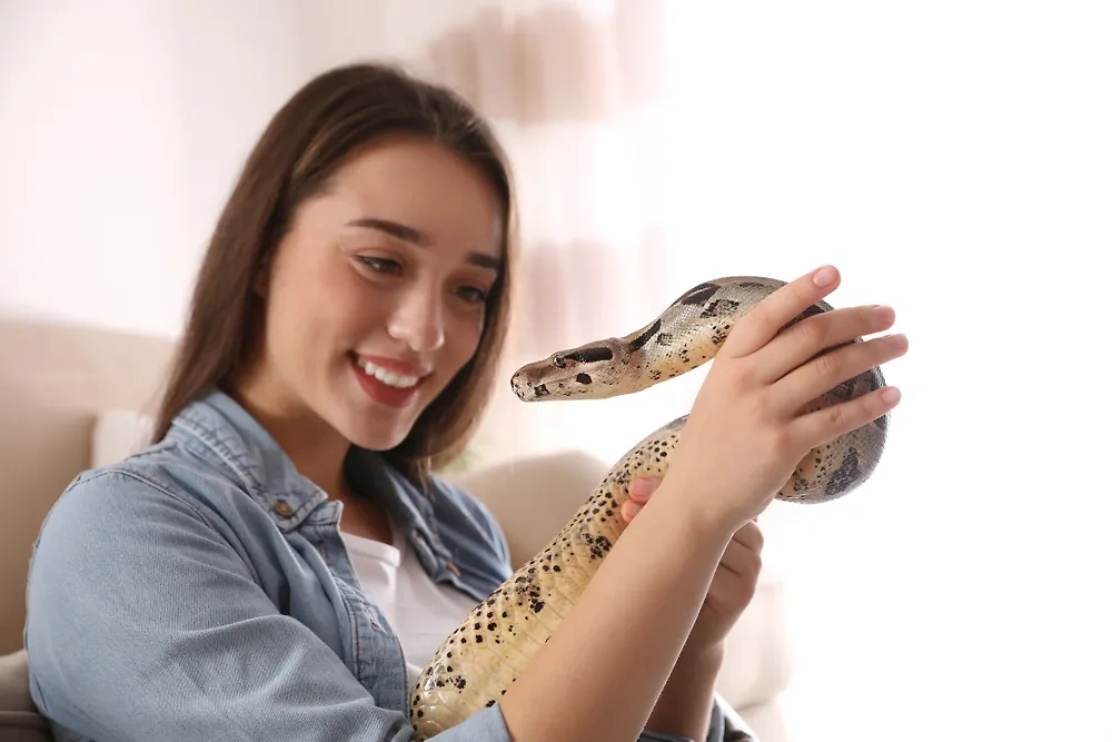 Что можно сказать о человеке, который держит дома рептилий? Фото © Shutterstock