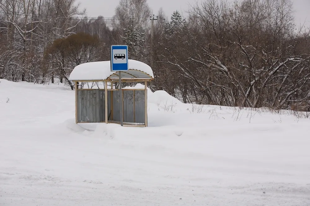 В Кемерове водитель автобуса высадил 12-летнего мальчика во время морозов. Обложка © Shutterstock