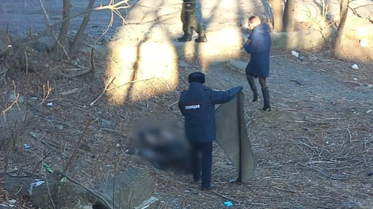 В посёлке Зарубино Приморского края найдено обугленное тело раздетого мужчины. Обложка © Newsbox24.tv
