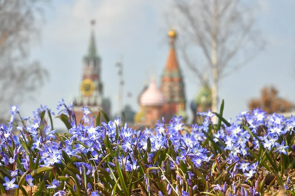 Погода на 1 марта подскажет, какой будет вся весна. Фото © Агентство "Москва" / Сергей Киселёв
