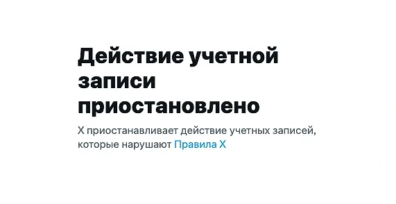 Так теперь выглядит профиль Юлии Навальной в соцсети X. Скриншот © X