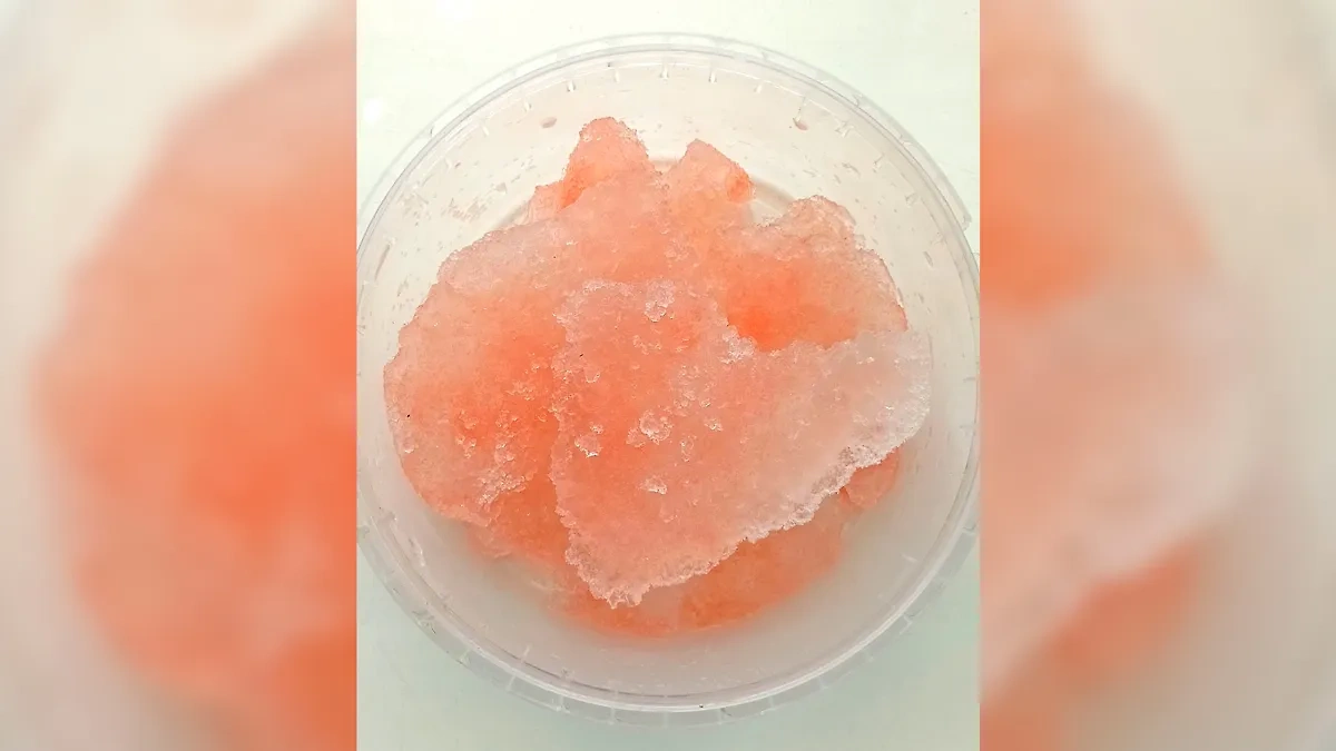 Учёные Приморья объяснили феномен окрашивания льда в кроваво-красный цвет. Обложка © Telegram / ННЦМБ ДВО РАН