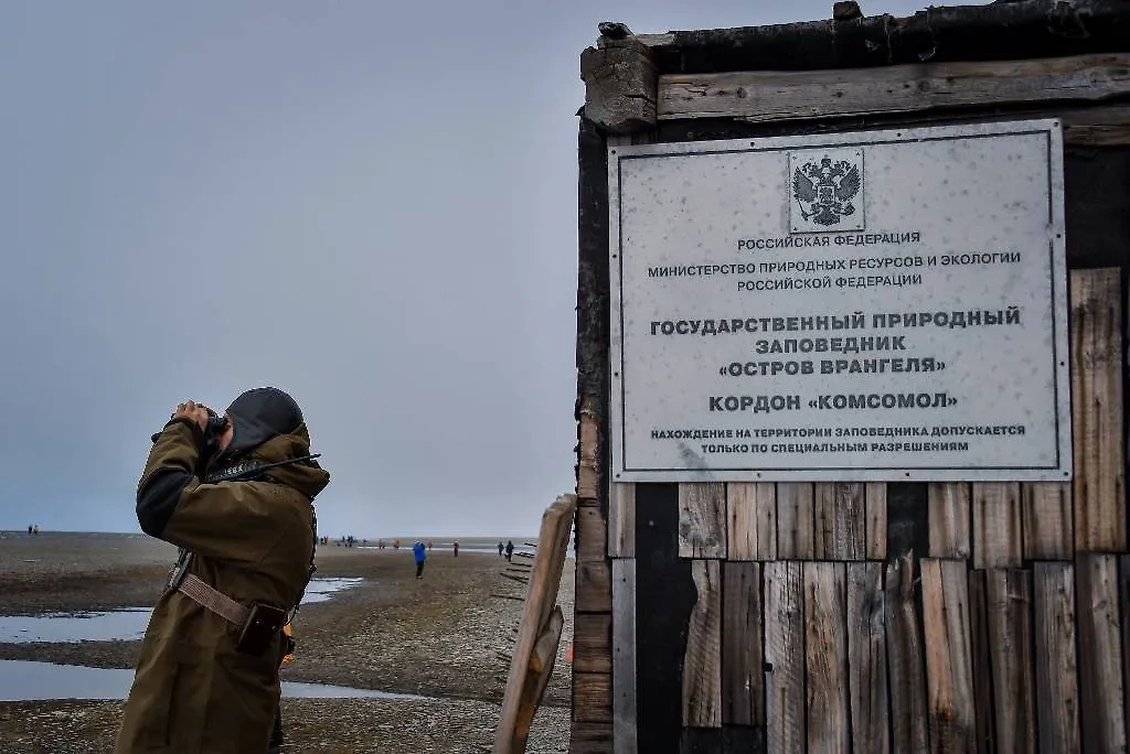 Государственный природный заповедник "Остров Врангеля". Фото © ТАСС / Юрий Смитюк