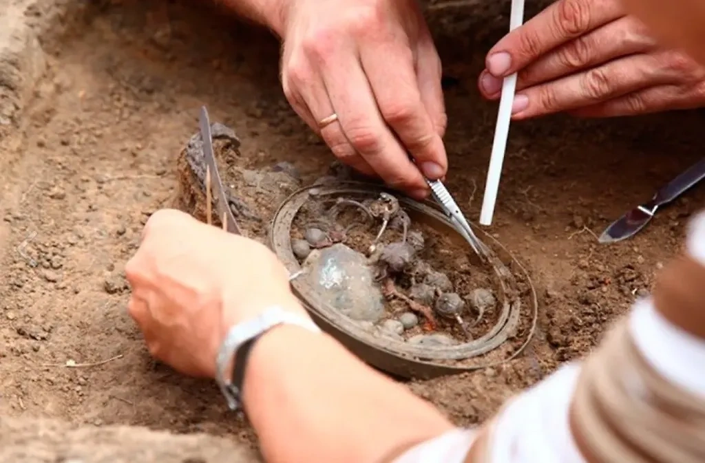 Клады, найденные в России, поражают: предметы были созданы в прошлые века. Фото © VK / СТРАЭ РАН