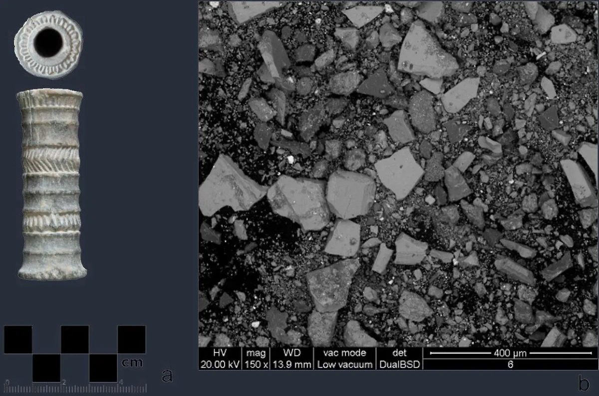 Найденный в Иране флакон и его содержимое. Обложка © Scientific Reports / M. Vidale, F. Zorzi