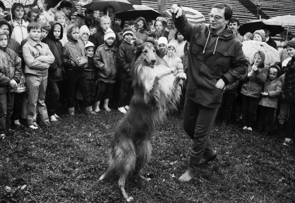 Эти домашние животные в СССР были популярны у всех. Фото © ТАСС / Олег Булдаков