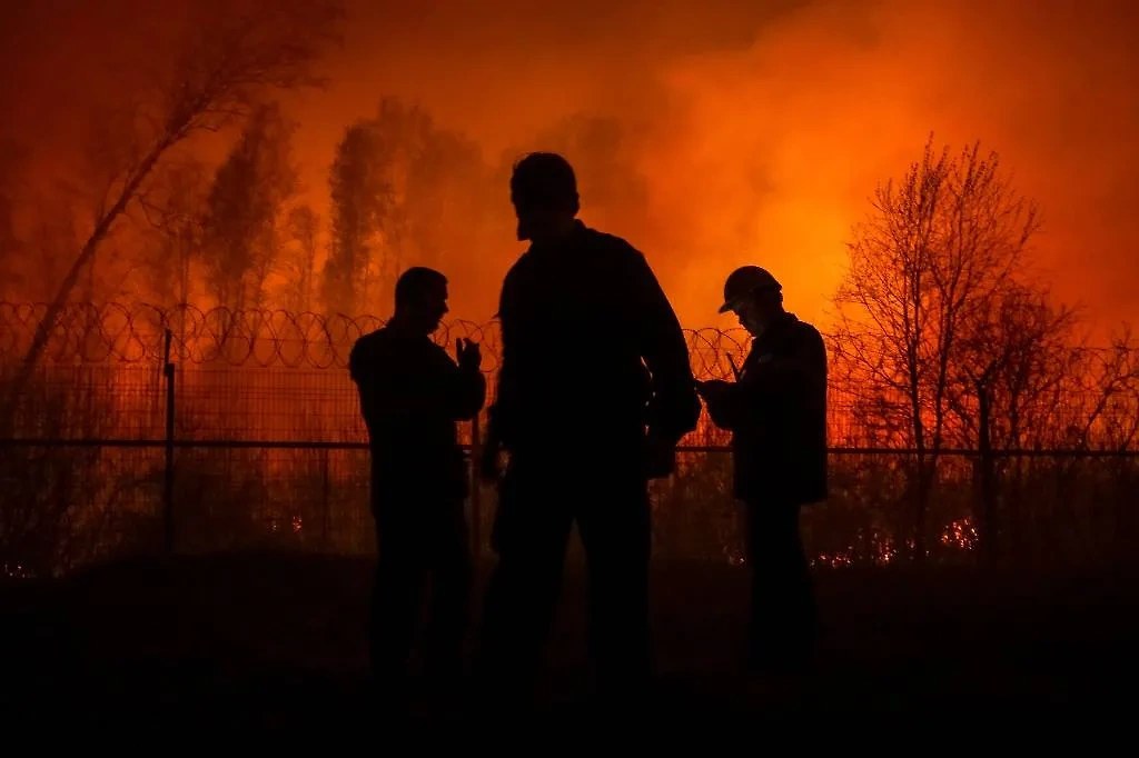 Анурадха считает, что в 2024 году стране могут угрожать пожары и сильные землетрясения. Фото © ТАСС / Максим Слуцкий