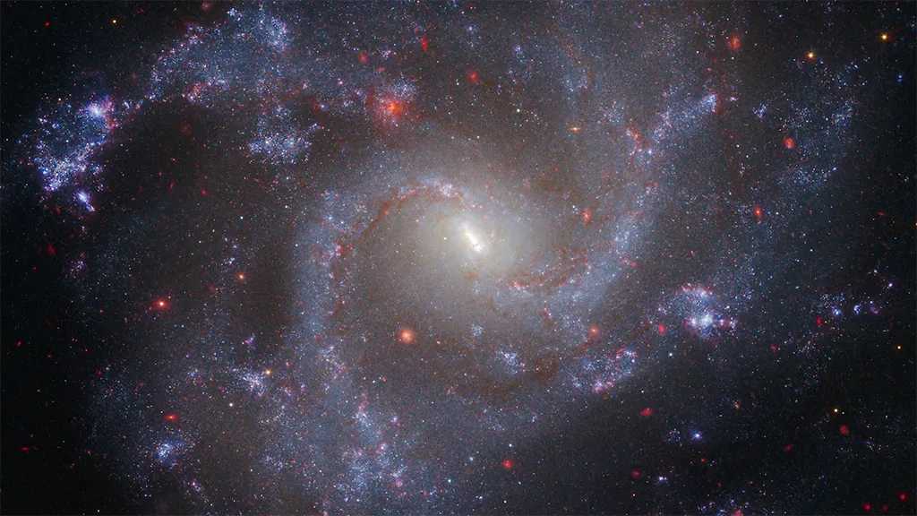 Учёные рассмотрели снимки телескопа Webb и убедились, что со Вселенной творится нечто странное. Обложка © science.nasa.gov