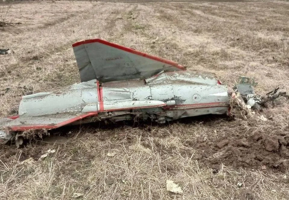 Обломки украинского Ту-141 "Стриж", сбитого в Брянской области. Фото © Telegram / Telegram / AV БогомаZ