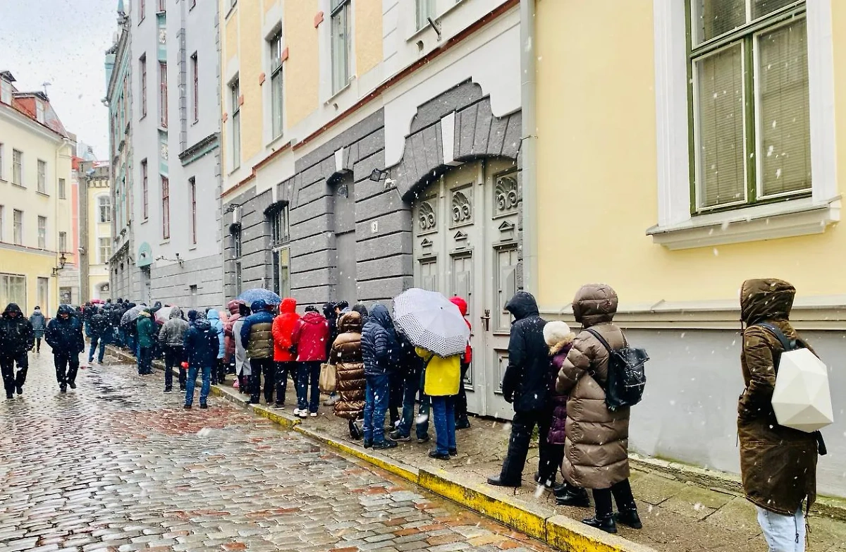 Граждане РФ голосуют в Таллине. Обложка © Telegram / Миссия в Таллине