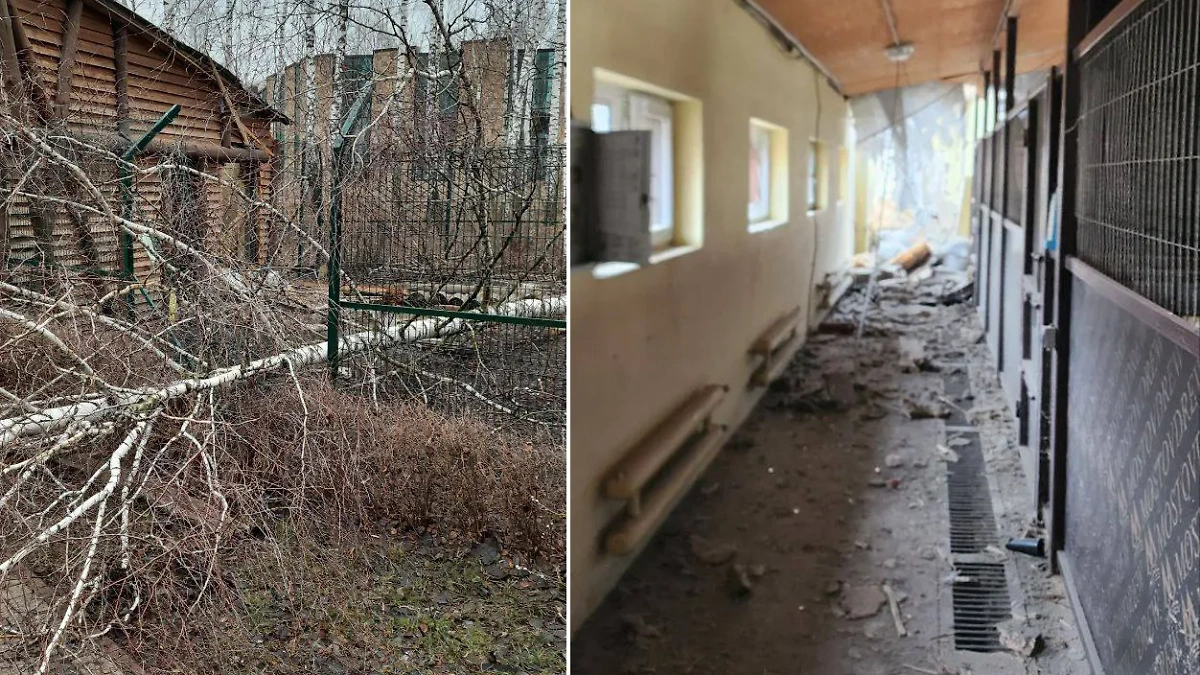 Последствия обстрела Белгородского зоопарка со стороны ВСУ. Фото © Telegram / Белгородский зоопарк 
