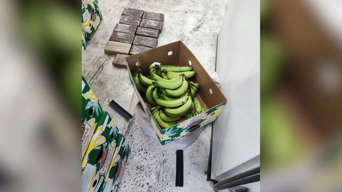 Таможенники в Санкт-Петербурге нашли 11 кг кокаина в бананах. Фото © ФТС России