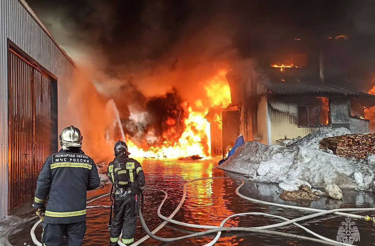 Пожар на складе в Раменском. Фото © Telegram / МЧС России