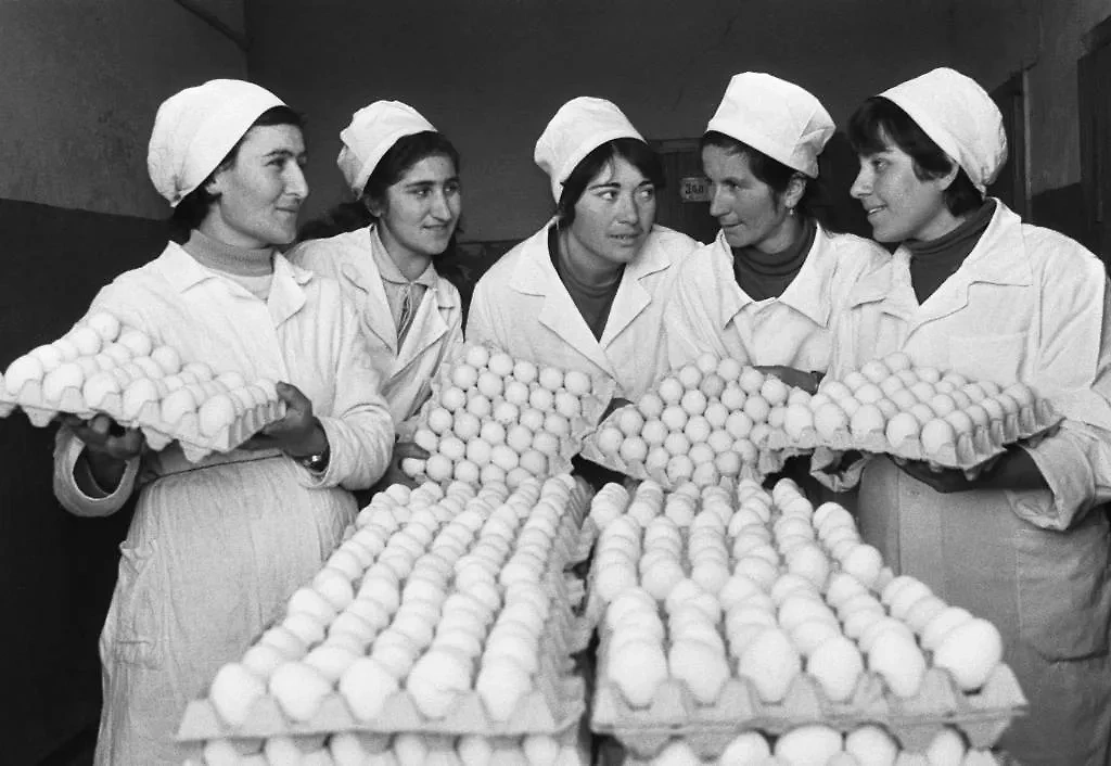 В СССР делали ставку на яйца. Обложка © ТАСС / Шахвелаз Айвазов 