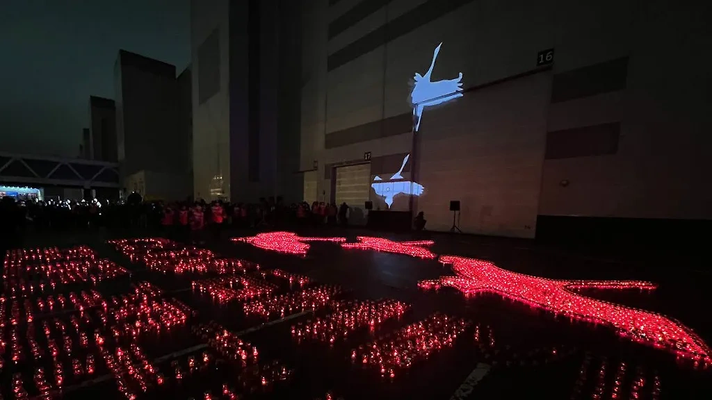 Проекция "Летят журавли" на здании Crocus City Hall в память о жертвах теракта. Фото © Life.ru