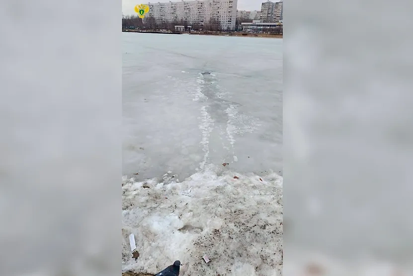 В Москве женщина провалилась под лёд. Обложка © Telegram / Прокуратура Москвы