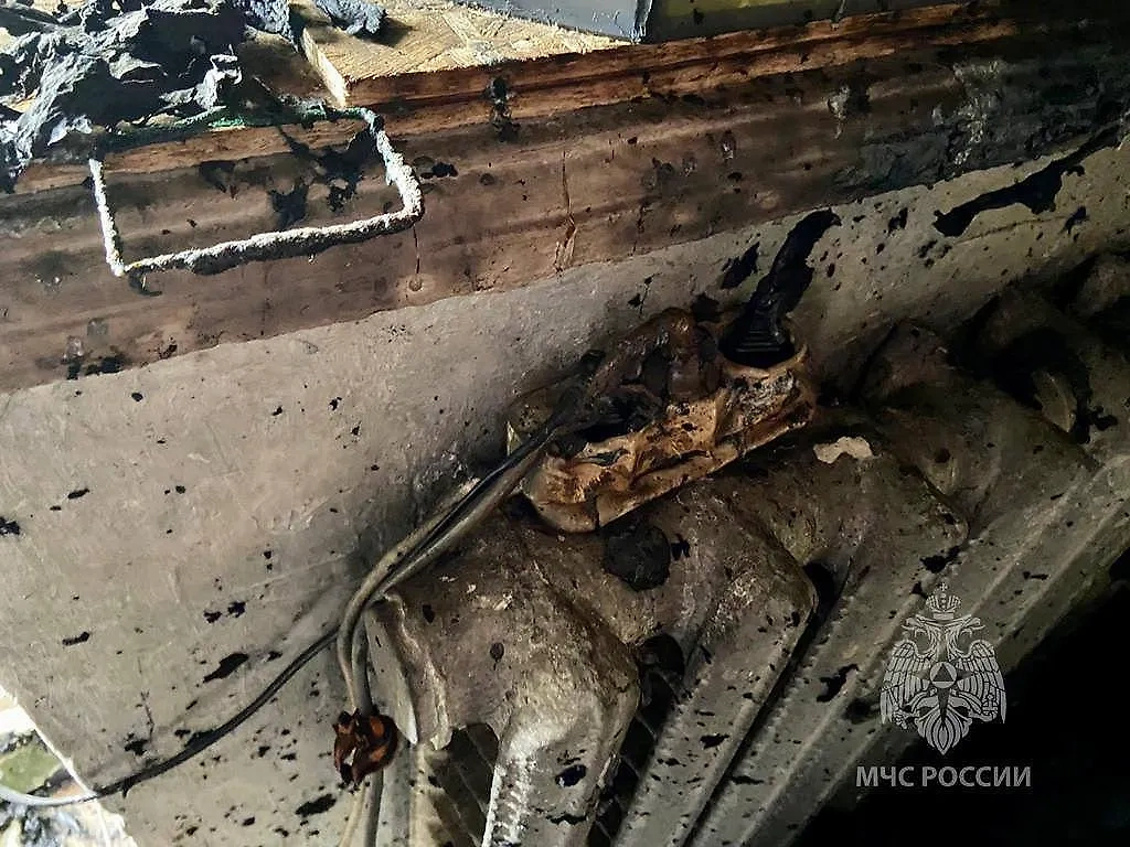 Место гибели 8 кошек в Саранске. Обложка © МЧС России