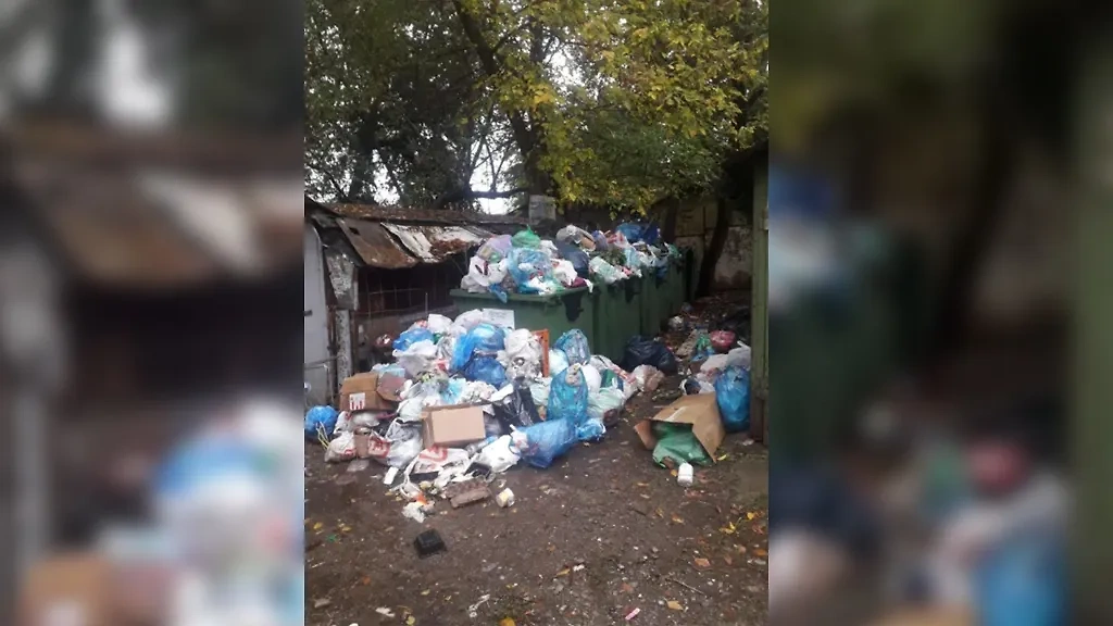 Интернет пестрит фотографиями заваленного мусором Ростова-на-Дону. Фото © Don24.ru