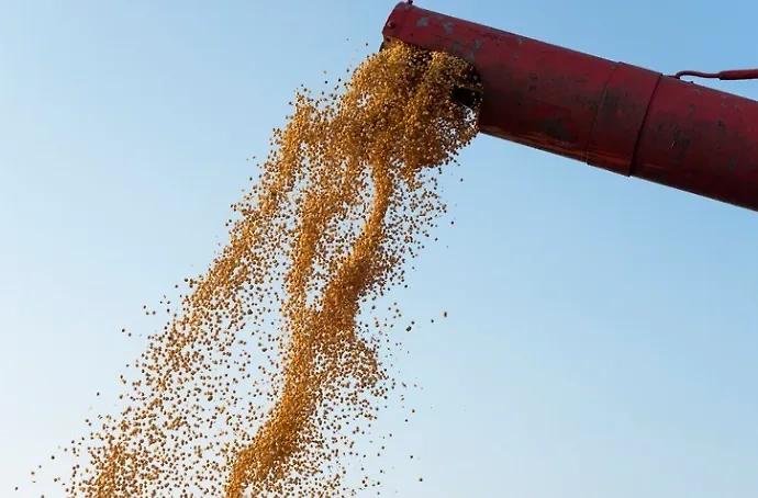Украина ограничит импорт зерна. Обложка © Freepik