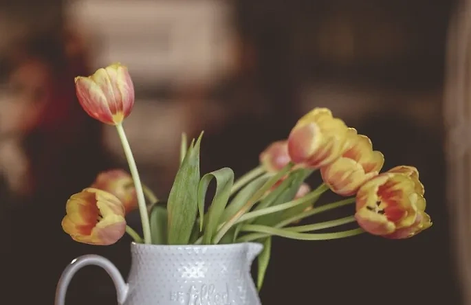 Тюльпаны требуют холодной воды в вазе. Обложка © freepik